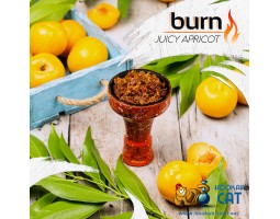 Табак Burn Juicy Apricot (Абрикос) 100г Акцизный Табак Burn Juicy Apricot (Абрикос) 100г Акцизный
